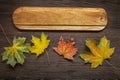 Autumn classified on the tree with leaf frame for words and insc Royalty Free Stock Photo