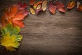 Autumn classified on the tree with leaf frame for words and insc Royalty Free Stock Photo