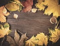 Autumn classified on the tree with leaf frame for words and inscriptions, copy space Royalty Free Stock Photo