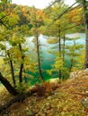 Autumn cliff view of Pink Lake Gatineau Park Royalty Free Stock Photo