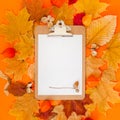 Autumn clipboard mockup with fall leaves