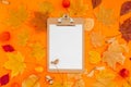 Autumn clipboard mockup with fall leaves