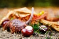 Close up of chesnuts in outdoors Royalty Free Stock Photo