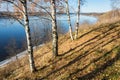 Autumn coast of the river Volga. Royalty Free Stock Photo