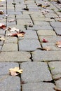 Autumn Cobblestone Walkway Royalty Free Stock Photo