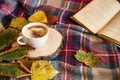 Autumn coffee cup with cozy blanket, fall deco warm home weekend with coffee cup, a book and dried leaves