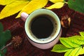 Autumn coffee. Fall leaves with a cup of hot healthy drink, warm wool sweater on a brown wooden background. Still life.