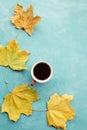 Autumn coffee maple leaves blue background concept