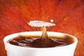 Autumn coffee with splash of milk Royalty Free Stock Photo