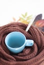 Autumn cold, illnes. Blue mug, knitted scarf, thermometer and autumn leaves. Royalty Free Stock Photo