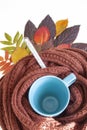 Autumn cold, illnes. Autumn cold. Blue mug, knitted scarf, thermometer and autumn leaves Royalty Free Stock Photo