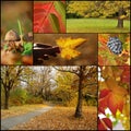 Autumn collage Royalty Free Stock Photo