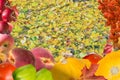 Autumn collage card with fruits and leaves Royalty Free Stock Photo