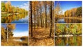 Autumn collage consisting of 5 plots