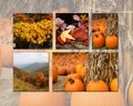 Autumn Collage Royalty Free Stock Photo