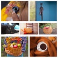 Autumn collage of seven photos. Hot cup of tea in a woman`s hand, basket with apples, old vintage keys, cute black cat, old books Royalty Free Stock Photo