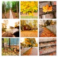 Autumn collage showing different autumn landscapes