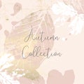 Autumn collection gold blush background