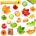 Autumn Collection Sale Elements