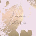 Autumn collection gold blush background