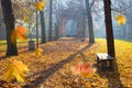 Autumn colonade