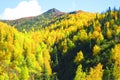 Autumn Color of Alaska