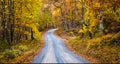 Autumn color along a dirt road in Frederick County, Maryland. Royalty Free Stock Photo