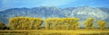 Autumn color along Highway 395, Royalty Free Stock Photo