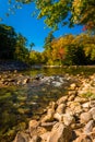 Autumn color along the Saco River in Conway, New Hampshire.