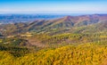 Autumn color in the Appalachian Mountains, seen from Skyline Drive in Shenandoah National Park, Virginia. Royalty Free Stock Photo