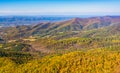 Autumn color in the Appalachian Mountains, seen from Skyline Drive in Shenandoah National Park, Virginia.