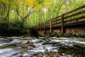 Autumn Color Begins On The Kephart Prong Bridge Royalty Free Stock Photo