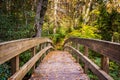 Autumn color and bridge on the Tanawha Trail, along the Blue Rid Royalty Free Stock Photo