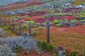 Autumn Color in coastal California Royalty Free Stock Photo