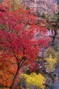 Autumn Color at Emerald Pools