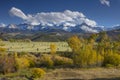 Autumn color of Fall view of hay bales and trees in fields with snow capped San Juan Mountains of Dallas Divide Ridgway Colorado Royalty Free Stock Photo