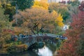 Autumn color and the Gapstow Bridge, in Central Park, New York City