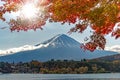 Autumn color of green and read maple leaves and strong light of the sun on foreground with Mountain Fuji Royalty Free Stock Photo