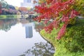 autumn color of Japan maple leaves on tree is green, yellow, orange and red discoloration and refletion on water pond in the Royalty Free Stock Photo