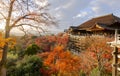 Autumn Color at Kiyomizu-dera Temple in Kyoto, Japan Royalty Free Stock Photo