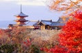 Autumn Color at Kiyomizu-dera Temple in Kyoto, Japan Royalty Free Stock Photo