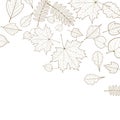Autumn color leaves background template.