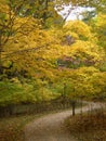 Colorful Autumn Scenes in Ohio Royalty Free Stock Photo