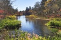 Autumn color of pond, Karuizawa, Nagano, Japan Royalty Free Stock Photo