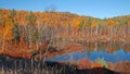 Autumn Color Reflection, Adirondacks, New York Royalty Free Stock Photo