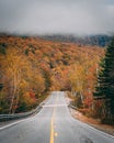 Autumn color on a road in Grafton Notch State Park, Maine