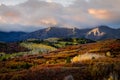 Autumn Color in San Juan  of Colorado near Ridgway and Telluride Royalty Free Stock Photo