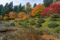 Autumn color season around Josen-ji.