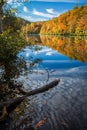 Autumn color surrounds mirror lake in fall