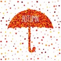 Autumn color vector greeting card with umbrella of orange scattered maple leaves Royalty Free Stock Photo
